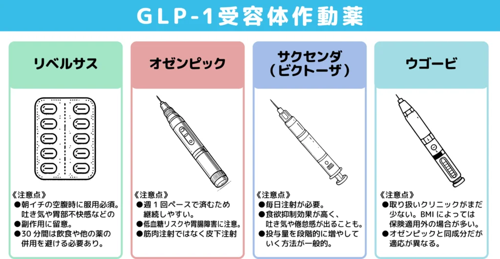 主要タイプ①：GLP-1受容体作動薬図解