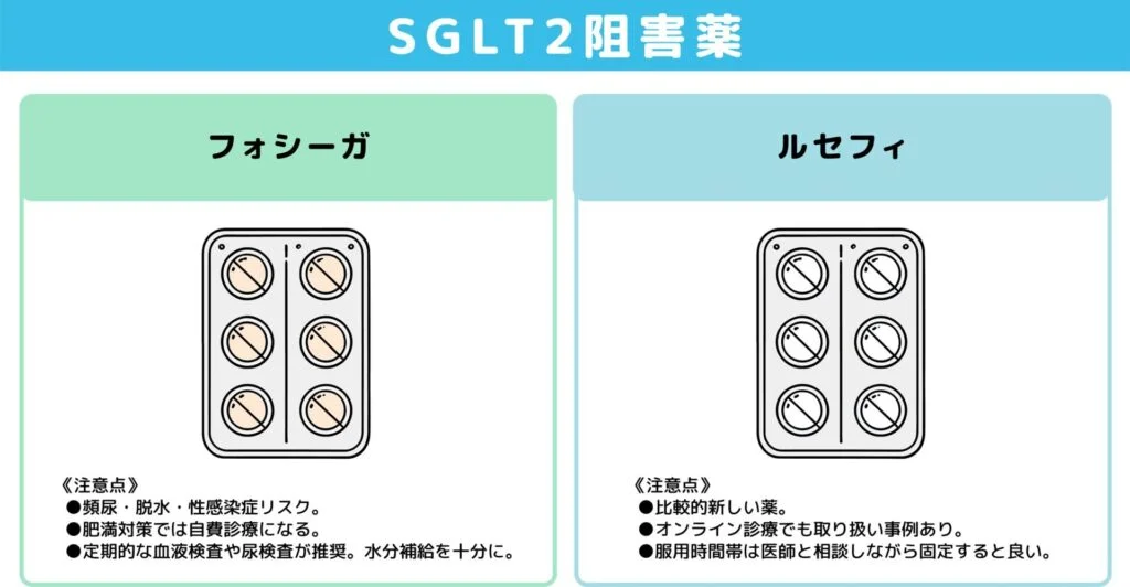 主要タイプ②：SGLT2阻害薬（尿から糖を排出してサポート）図解