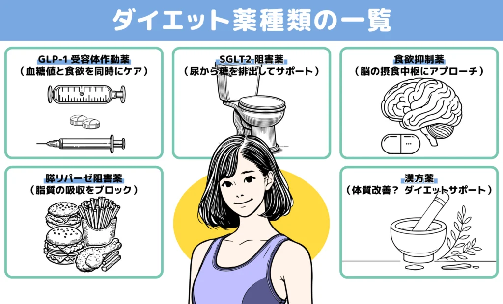 痩せる薬・ダイエット薬を選ぶ前に押さえたい基本知識図解